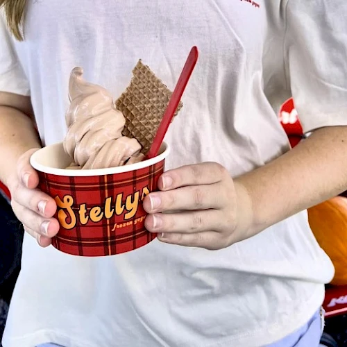 A person holds a red plaid cup with ice cream toppings (waffle cone, chocolate heart) and a red spoon, wearing a white shirt.