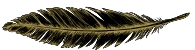 This is an image of a stylized golden feather with detailed textures on a black background.