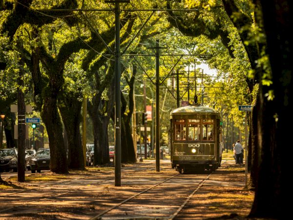 A vintage streetcar travels down a tree-lined street, surrounded by lush green foliage and dappled sunlight filtering through the leaves.
